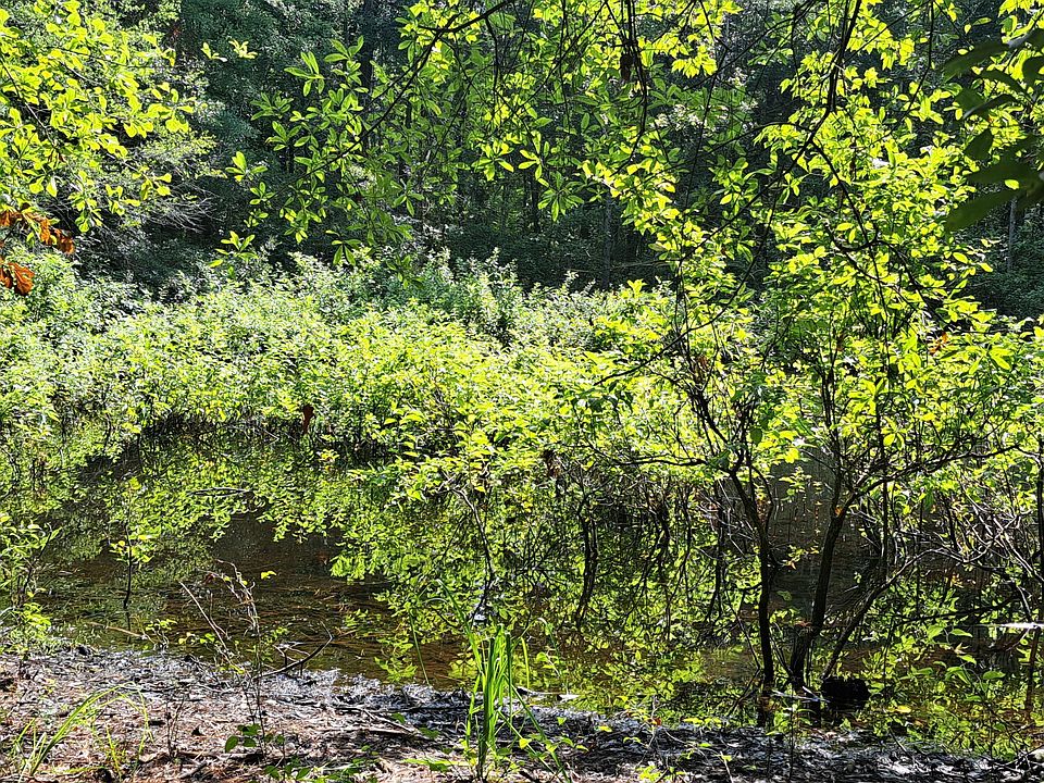 2nd image of 1 Forever Eclipse Ln