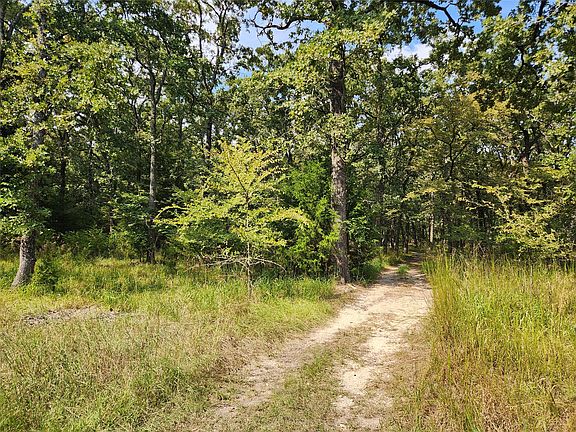 5th image of LOT 31 Fox Point Rd
