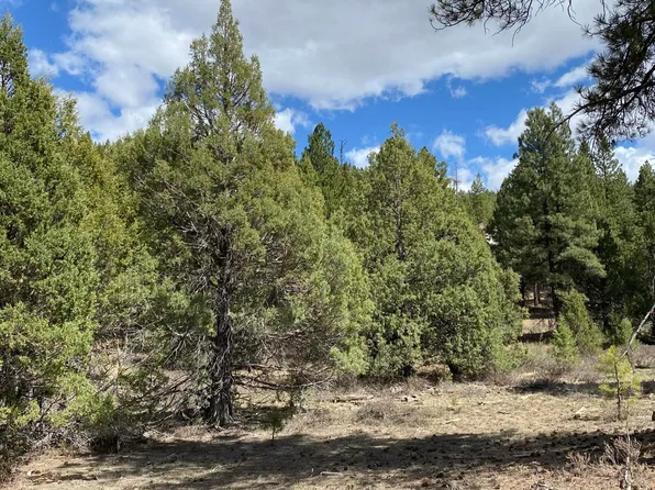 12 Elk Meadows Dr, Duck Creek Village, UT 84762