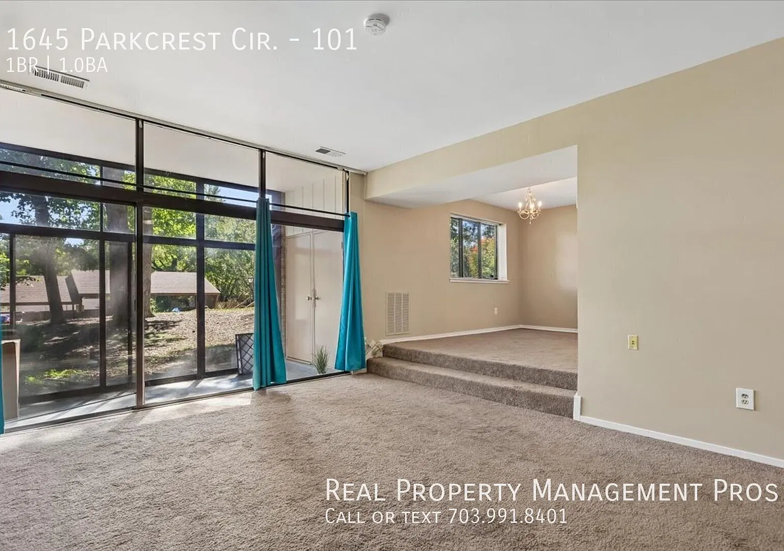 Rare 1st Level Unit With Utilities for Rent In the Heart of Reston! — Photo 4