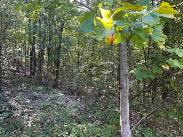 197 Cherokee Winds Dr, Tellico Plains, TN 37385