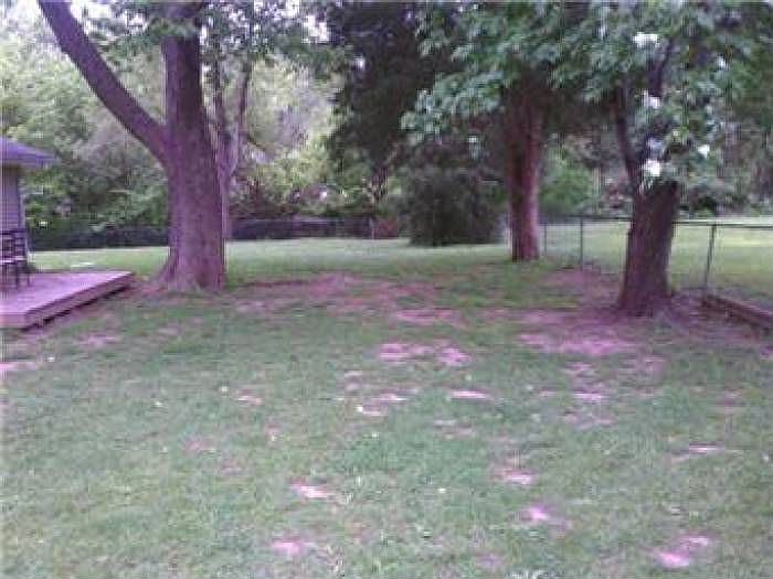 Yard