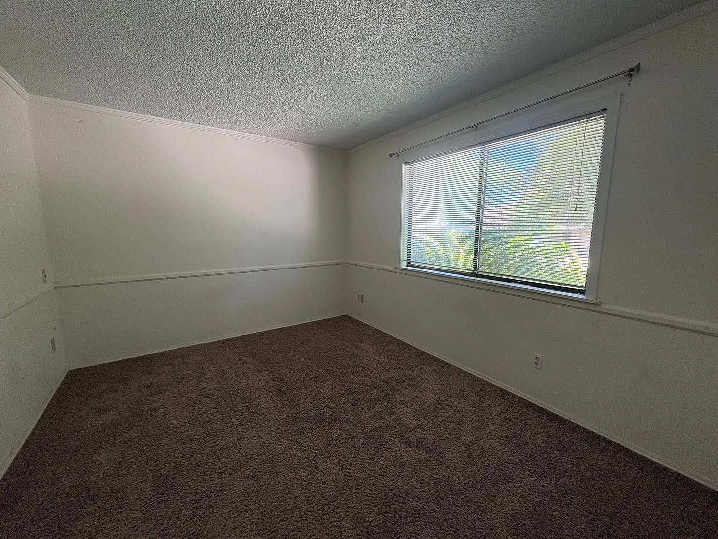 Beautiful Lakewood Village Condo — Photo 3