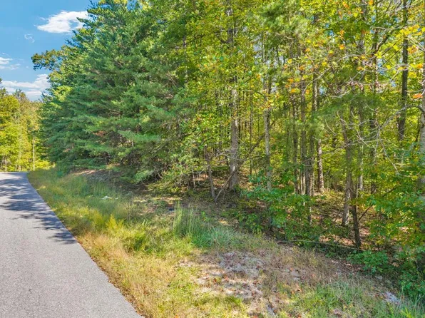 LOT 3&4 W Laurel Way, Monterey, TN 38574