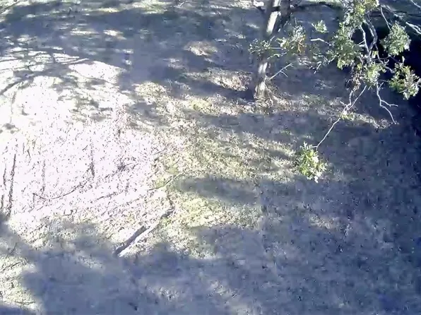 578AC Dotson St, Huntsville, AR 72740