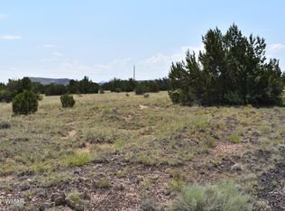 41 Dawn Ln, Concho, AZ 85924