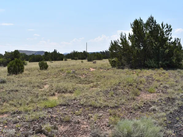 41 Dawn Ln, Concho, AZ 85924