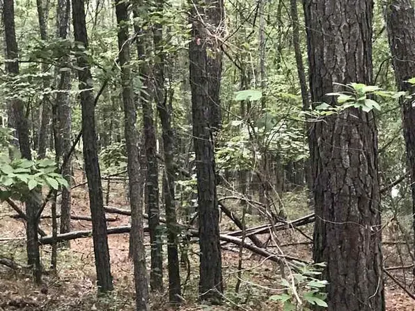 Lakeside Ln #22, Alpine, AL 35014