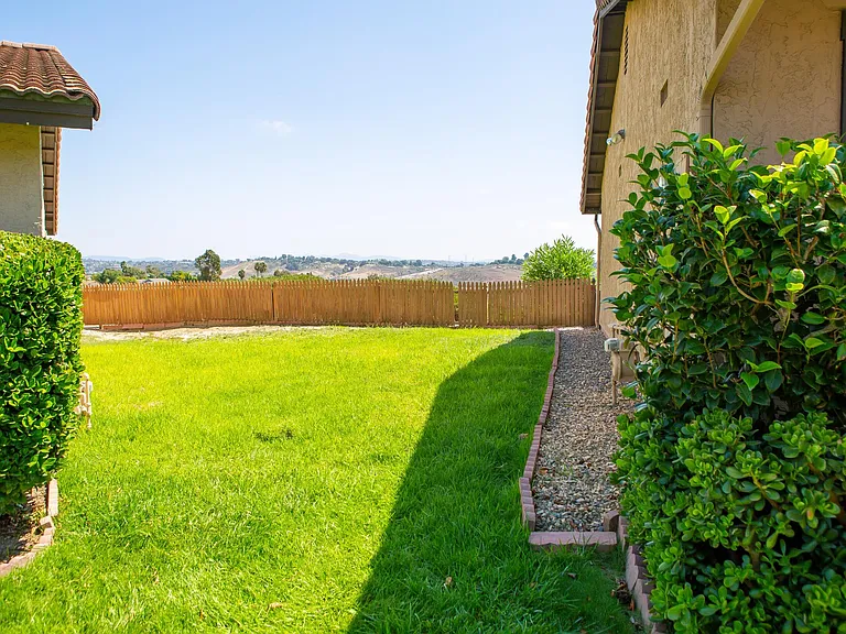 Side yard for dogs