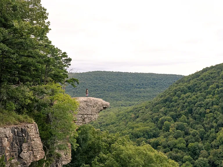 The Arden — Photo 11
