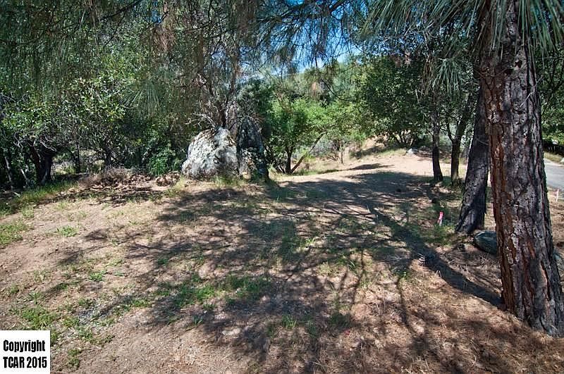 1st image of 21201 Crystal Falls Dr