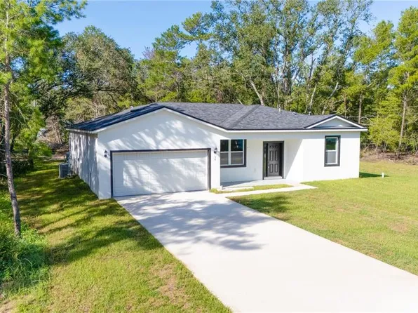 58 Fisher Trace Run, Ocklawaha, FL 32179