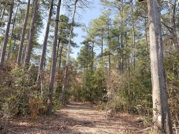 0 Stevens Daughtery Cemetery Rd, Horatio, AR 71842