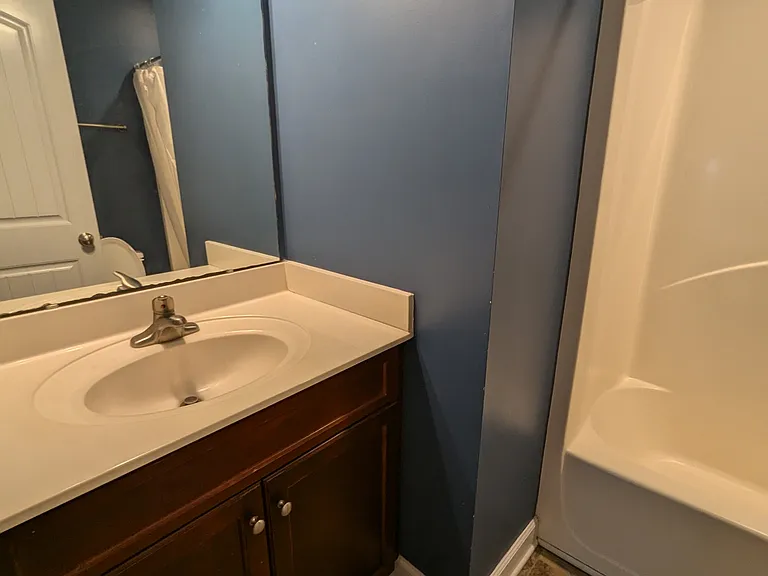 Hall bathroom