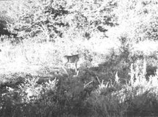 Gran Tara, Afton, OK 74331