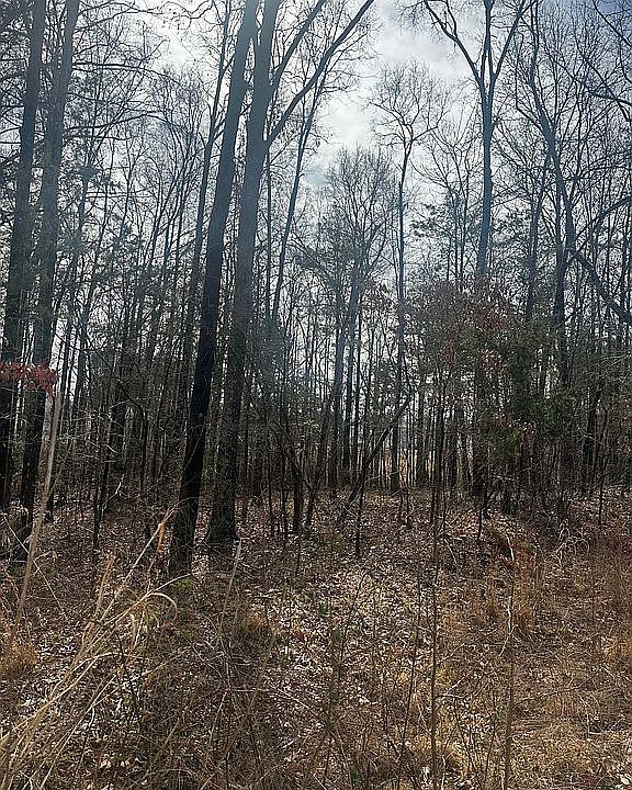 2nd image of 9012 Pinenoll Ln
