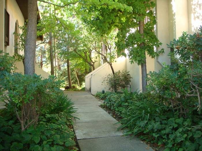 2nd image of 1217 Montego