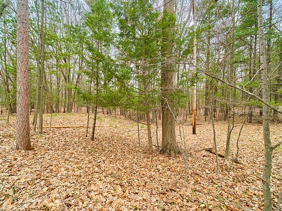 3rd image of Piney Rd
