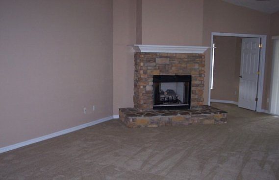 Beautiful Gas Fire Place