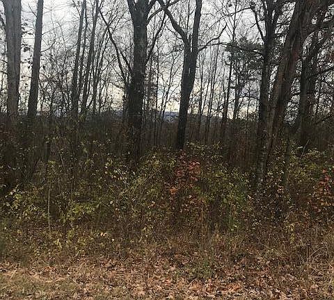 5th image of Hinkle Estates Dr