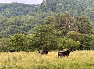 Blair Rd, Dryden, VA 24243