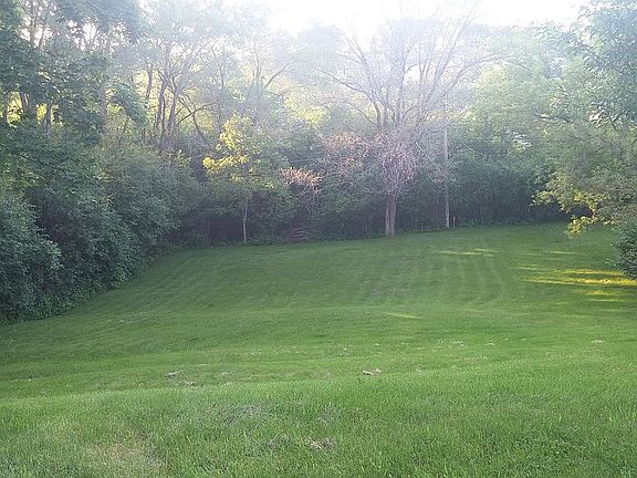 Backyard (summer)