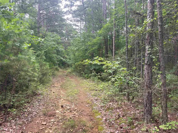 (undisclosed Address), Clinton, AR 72031