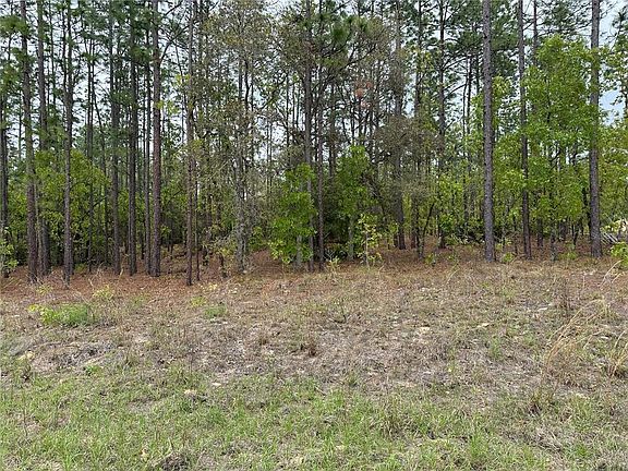 2nd image of SW 125th Court Rd Lot 8