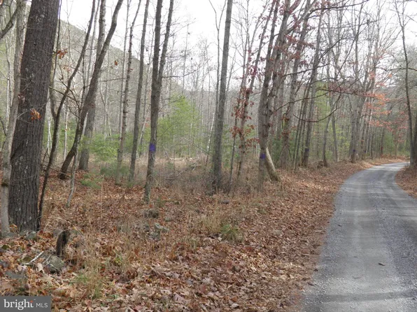 Camp Run Rd, Brandywine, WV 26802