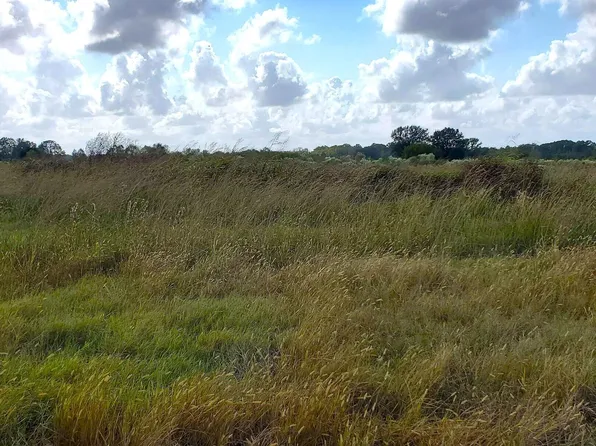 1873 Pitreville Hwy, Church Pt, LA 70525