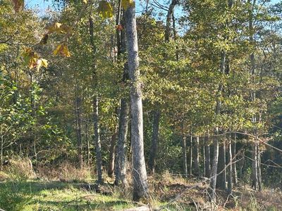 0 S Bypass Rd, Campbellsville, KY, 42718