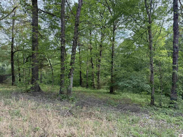 0 New Hope Rd, Calvert City, KY 42029