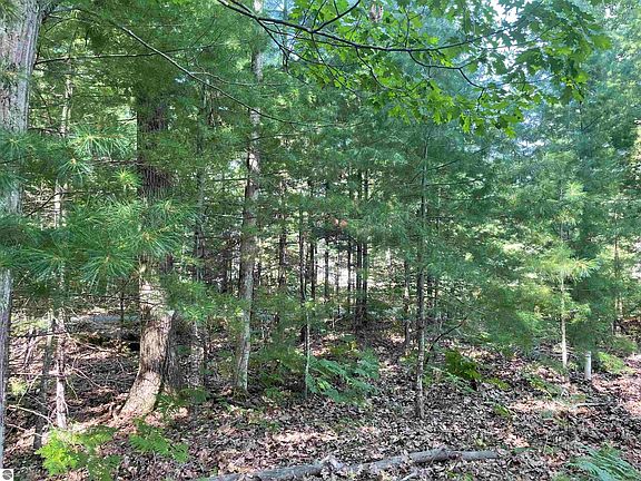4th image of 23 Deer Park Dr