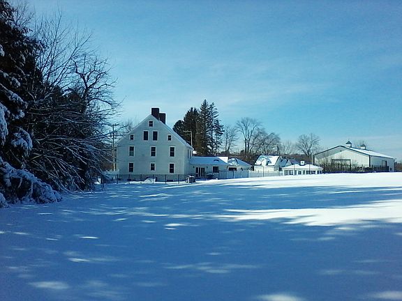 compound shot by magnolias