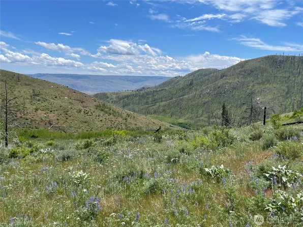 436 Antoine Creek Road Lot E, Chelan, WA 98816