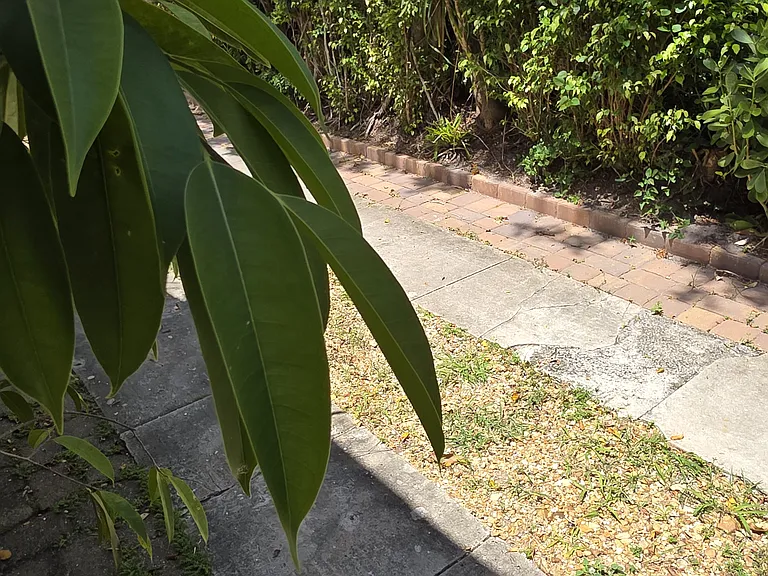 Conniston Rd — Photo 15