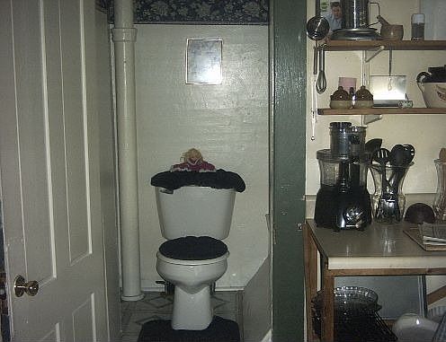 Ever Wonder What a Water Closet Looks Like?