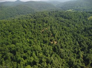 1 Woodland Dr, Ivydale, WV 25113