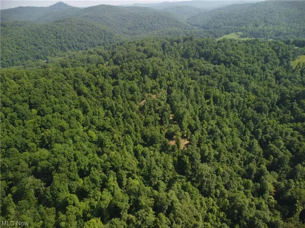 1 Woodland Dr, Ivydale, WV 25113