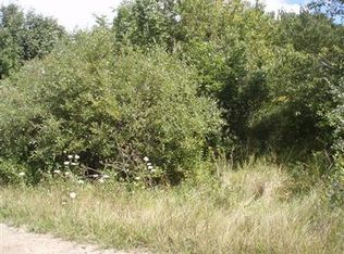 Thorpe Rd, Bear Lake, MI 49614