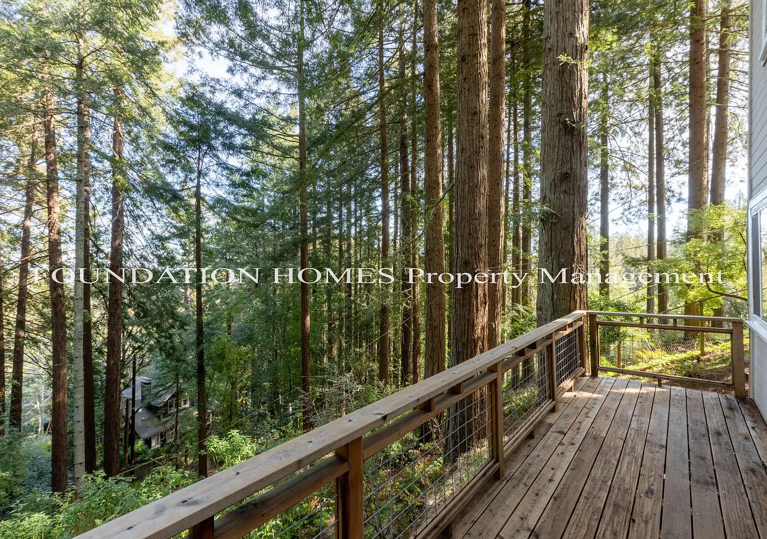 Modern, Light & Bright Remodeled Cabin Home Amongst The Redwoods- Hiking- Foundation- — Photo 2