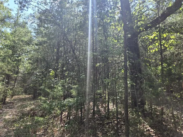Buffalo Church Rd, Pamplin, VA 23958