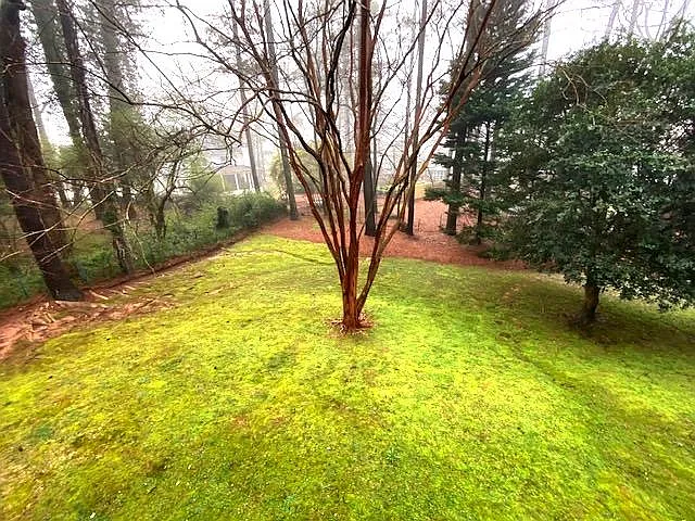 2687 Peeler Rd — Photo 20