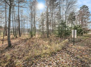 12215 Lila Ct, Stanwood, MI 49346