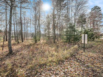 12215 Lila Ct, Stanwood, MI, 49346