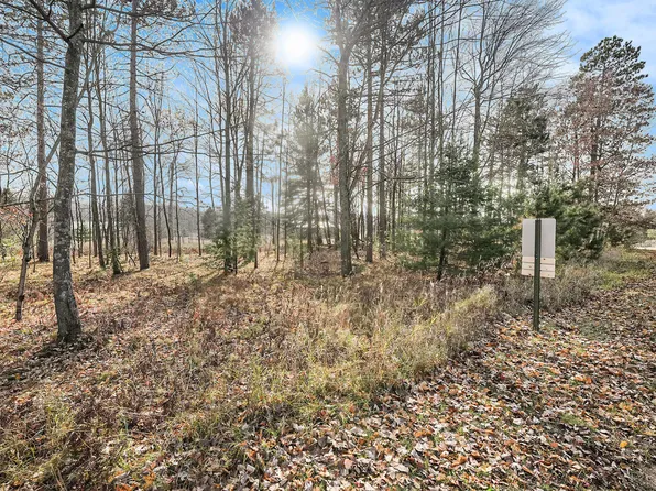 12215 Lila Ct, Stanwood, MI 49346