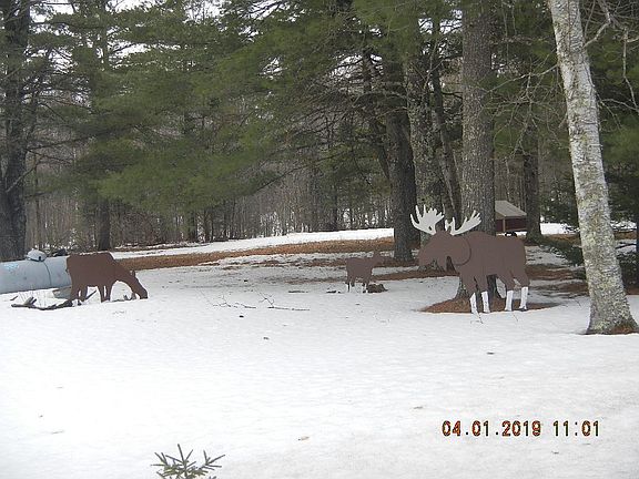 3rd image of 10934 N County Road S