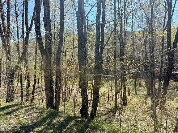 2nd image of Haskell Rd