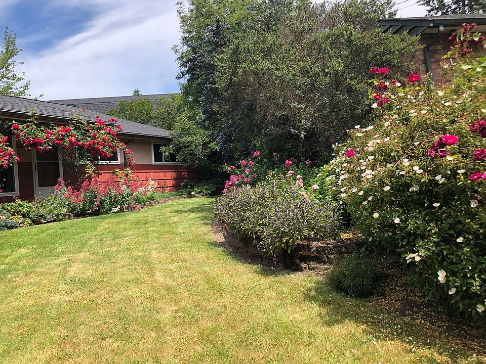 Front of house from driveway