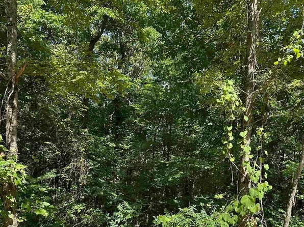 Heber Springs Rd, Locust Grove, AR 72550